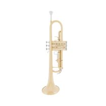 Wilmington Student Trumpet