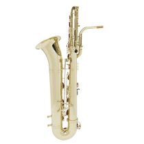 The Wilmington Bass Saxophone Professional