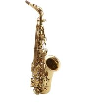Château Student Model Alto Saxophone Gold Lacquered